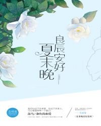 夏未晚良辰安好（影视+出版）