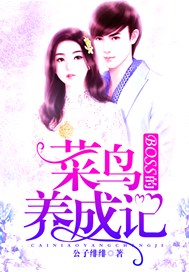 BOSS的菜鸟养成记