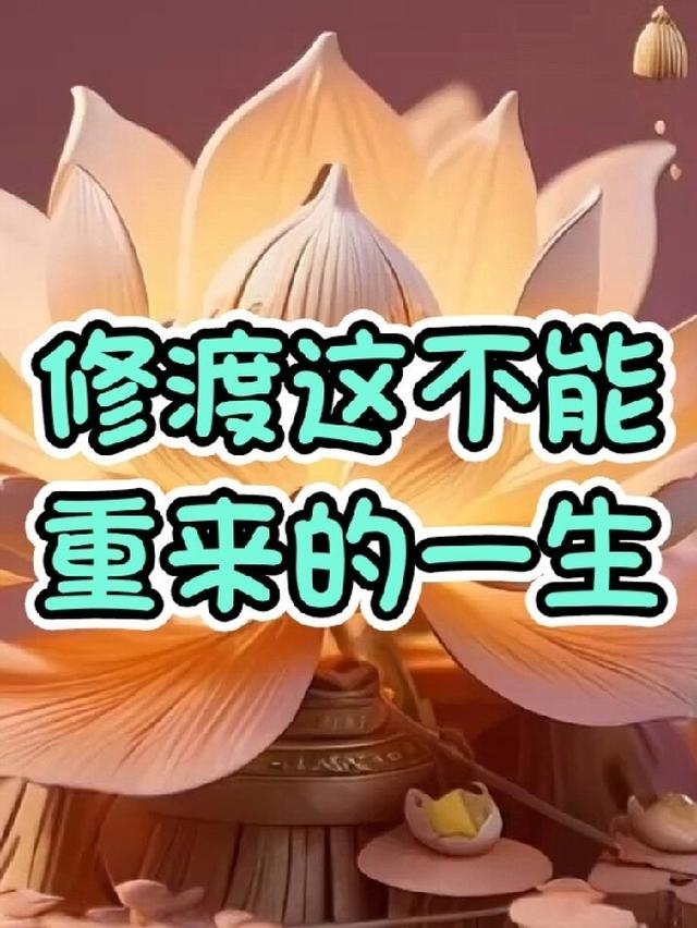 修渡这不能重来的一生